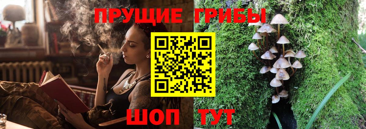 Елец  Галлюциногенные грибы Psilocybine cubensis  Галлюциногенные грибы мицелий  Вход с VPN 
